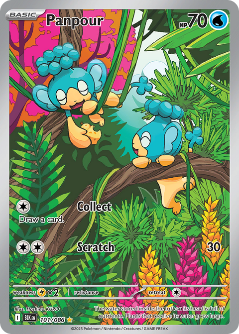 Panpour 101 Black Bolt Pokémon card