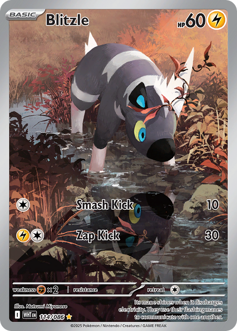 Blitzle 114 White Flare Pokémon card