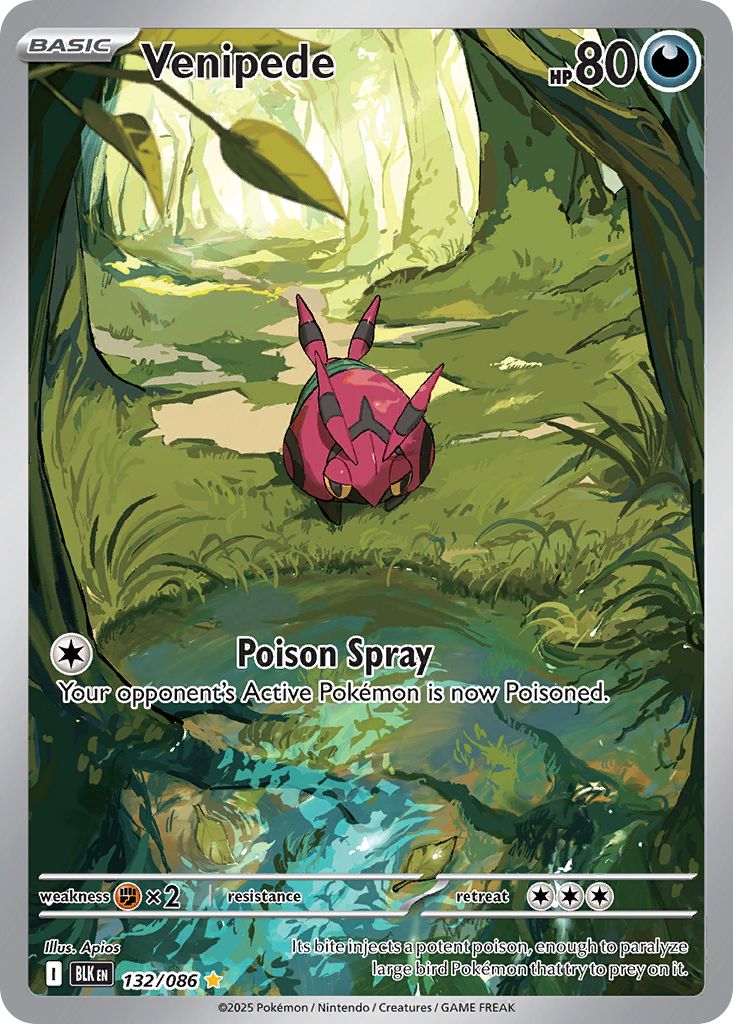 Venipede 132 Black Bolt Pokémon card