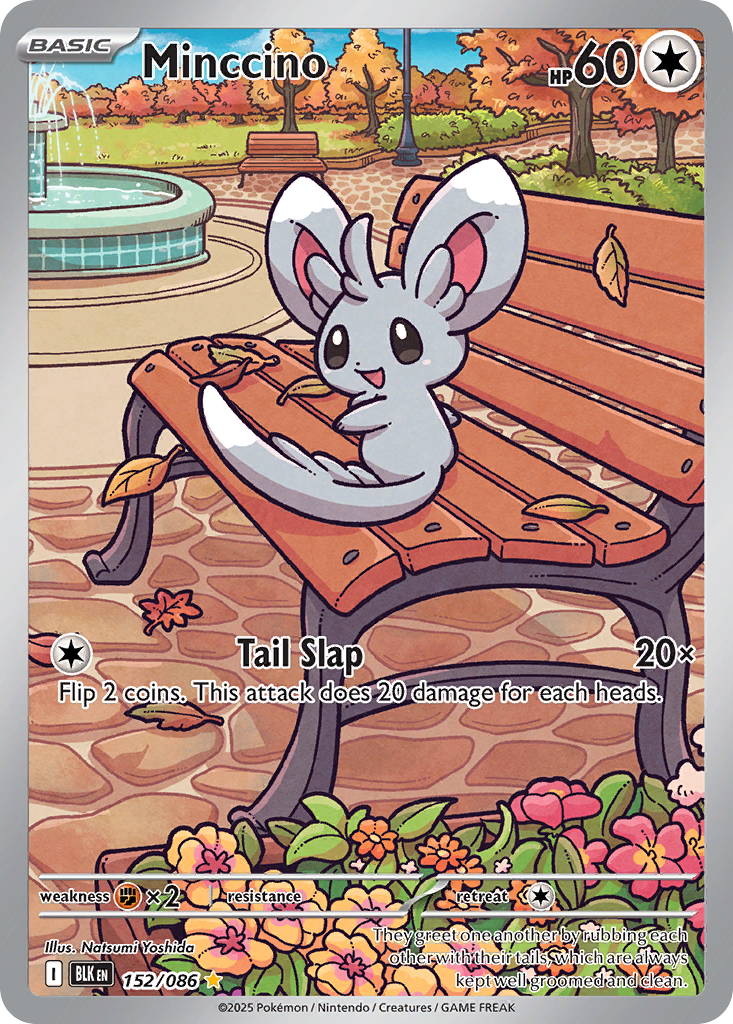 Minccino 152 Black Bolt Pokémon card