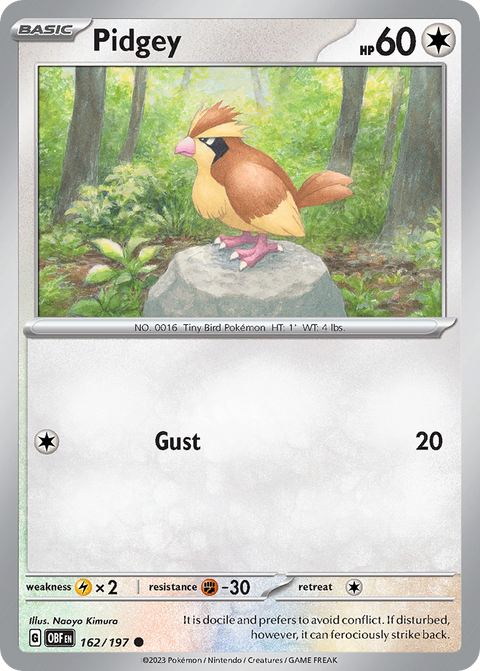 Pidgey 162 Obsidian Flames Pokémon card