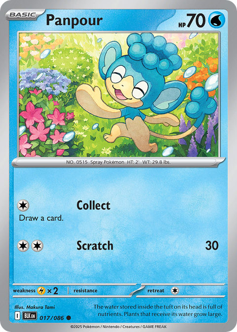 Panpour 17 Black Bolt Pokémon card