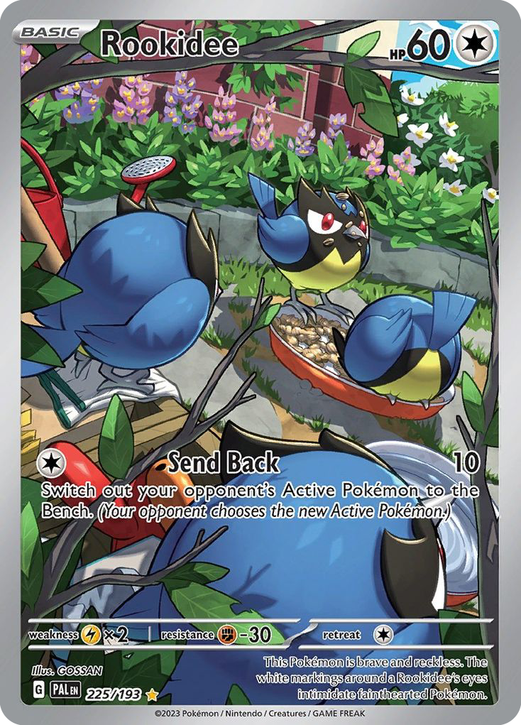Rookidee 225 Paldea Evolved Pokémon card