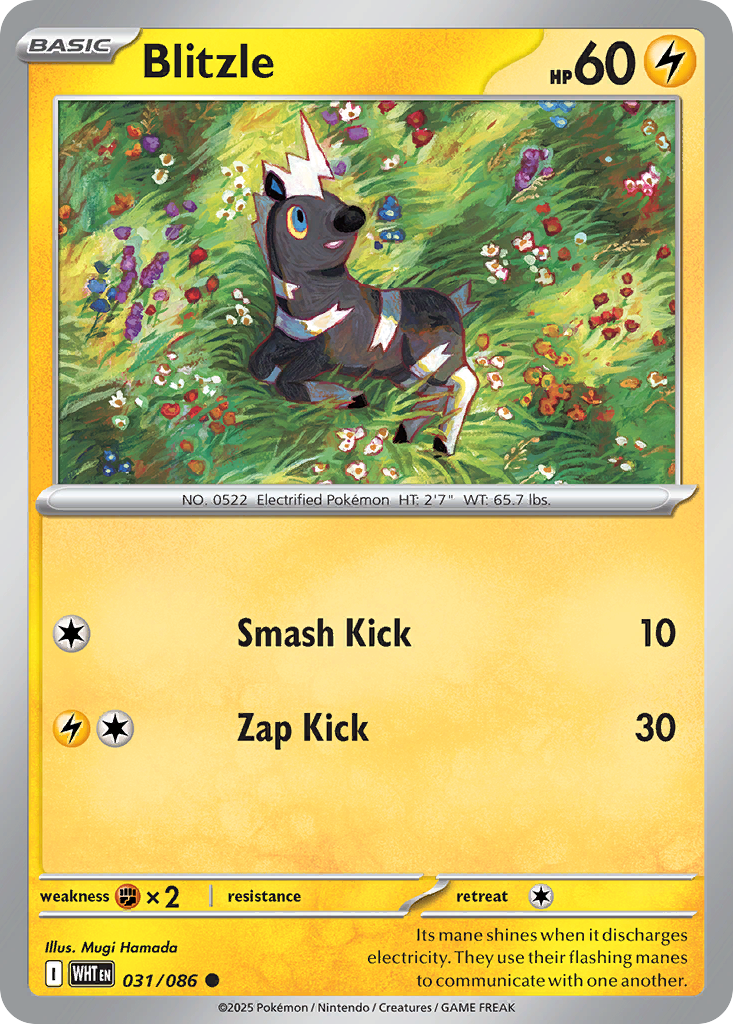 Blitzle 31 White Flare Pokémon card