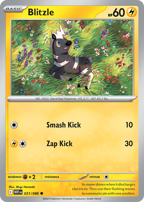 Blitzle 31 White Flare Pokémon card