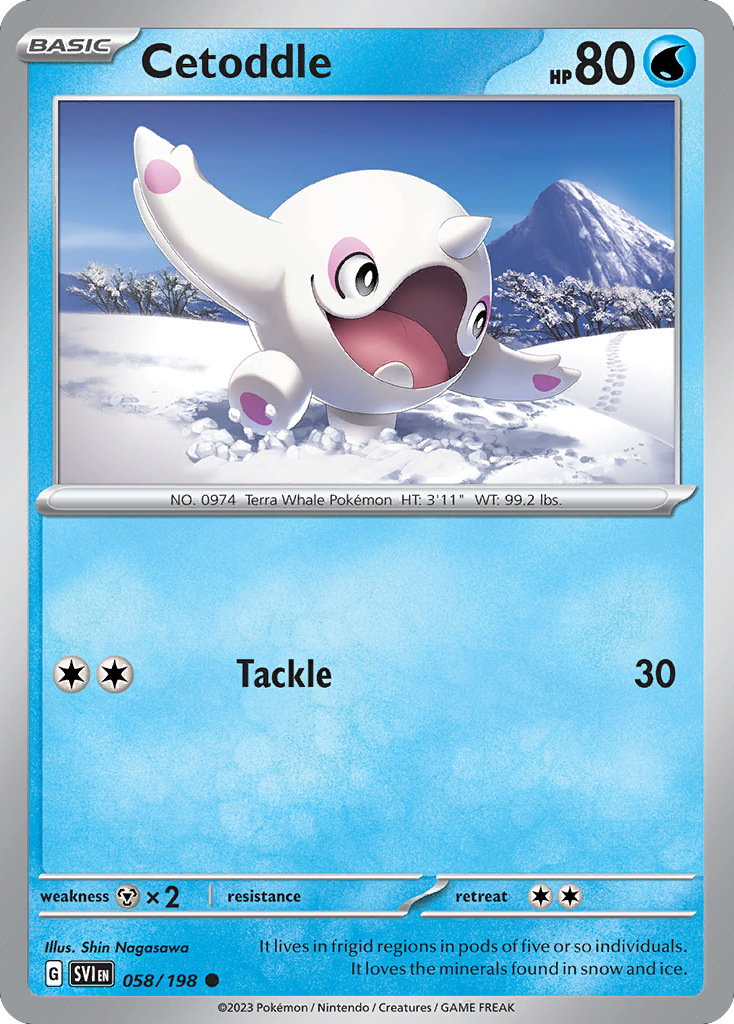 Cetoddle 58 Scarlet & Violet Pokémon card