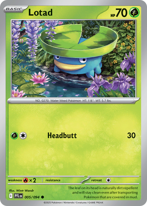 Lotad 5 Phantasmal Flames Pokémon card