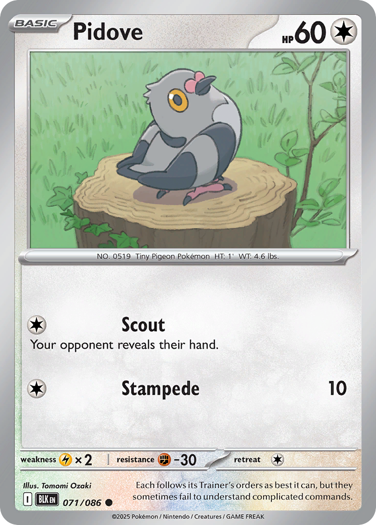 Pidove 71 Black Bolt Pokémon card