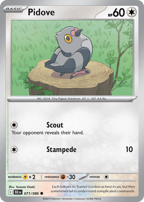 Pidove 71 Black Bolt Pokémon card