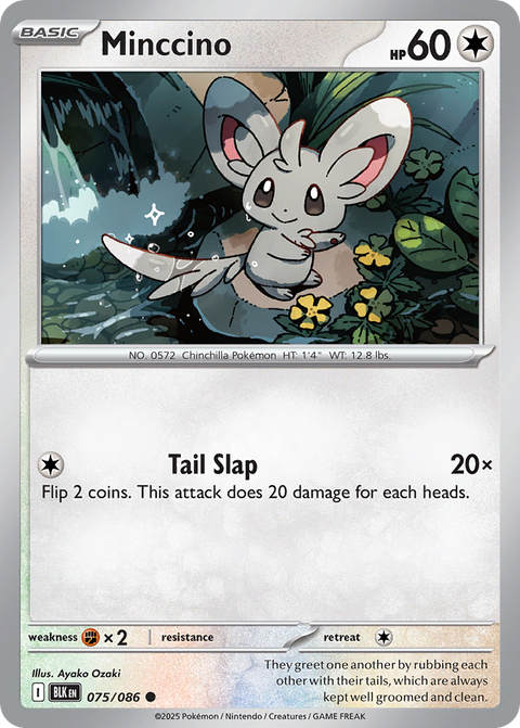 Minccino 75 Black Bolt Pokémon card
