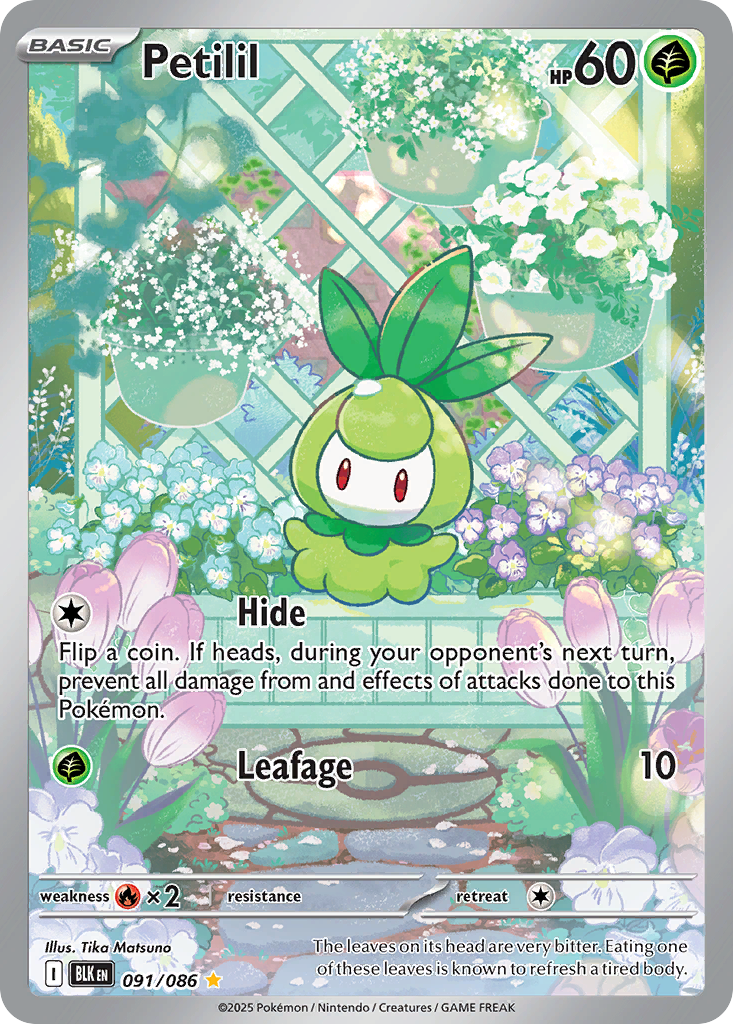 Petilil 91 Black Bolt Pokémon card