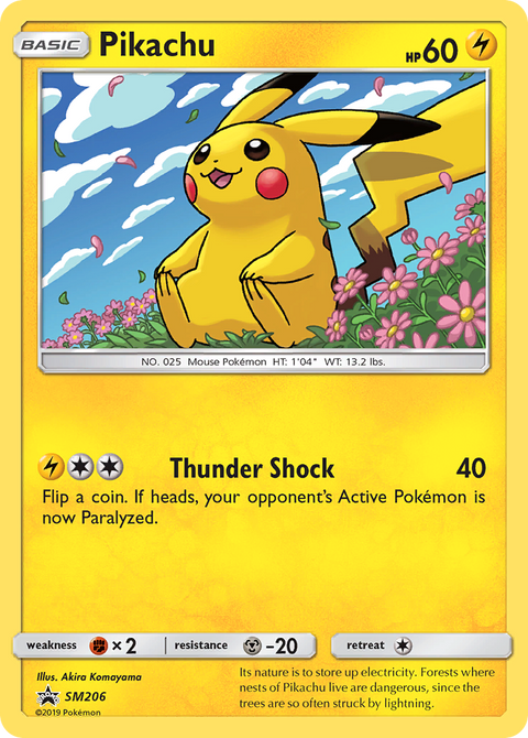Pikachu SM206 SM Black Star Promos Pokémon card