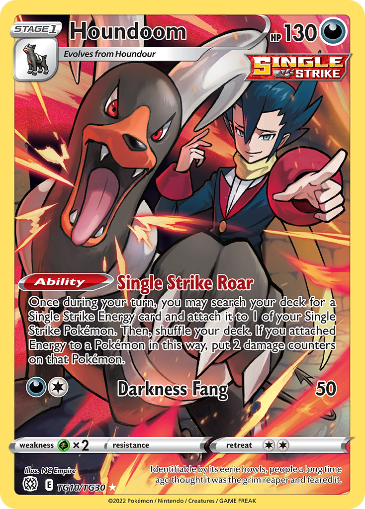 Houndoom TG10 Brilliant Stars Trainer Gallery Pokémon card