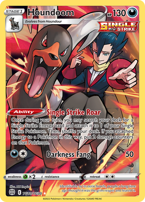 Houndoom TG10 Brilliant Stars Trainer Gallery Pokémon card
