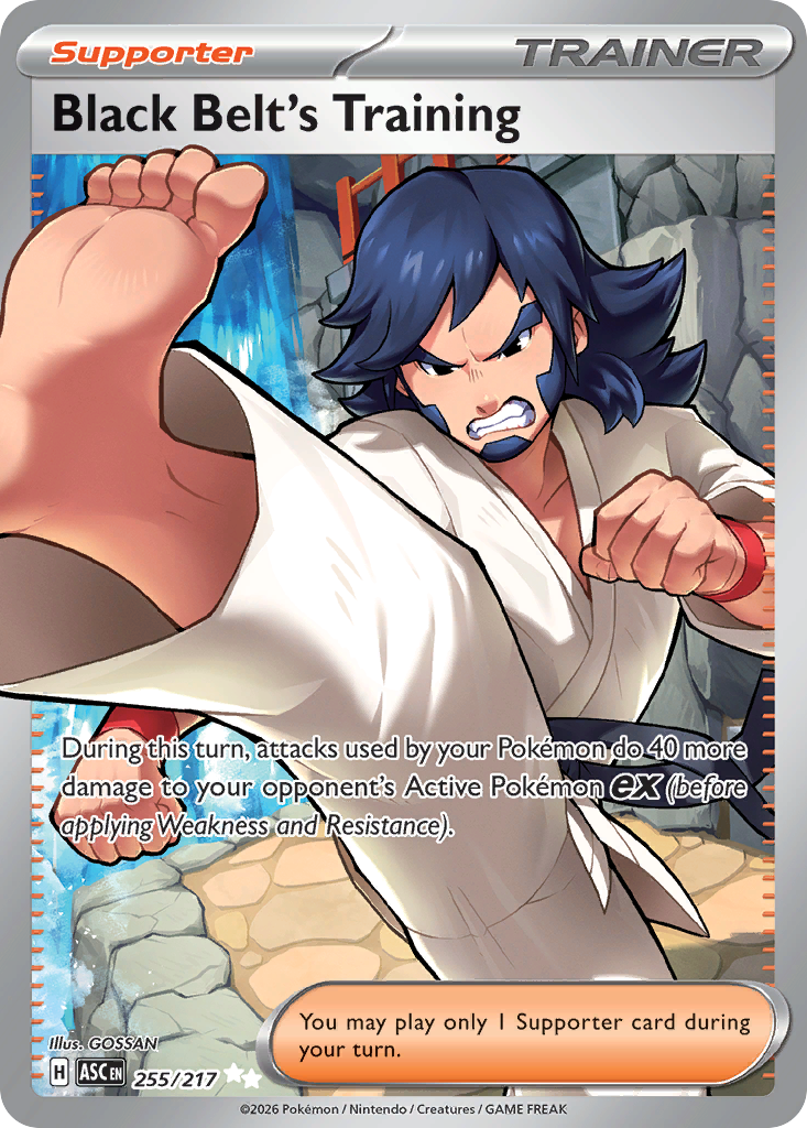 Black Belt's Training 255 Ascended Heroes Pokémon card