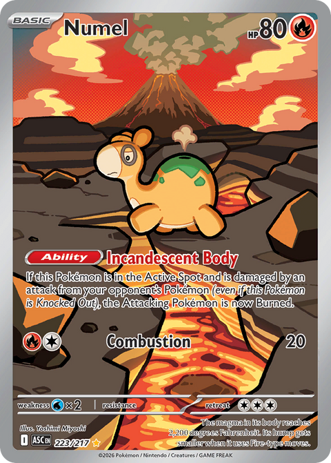 Numel 223 Ascended Heroes Pokémon card